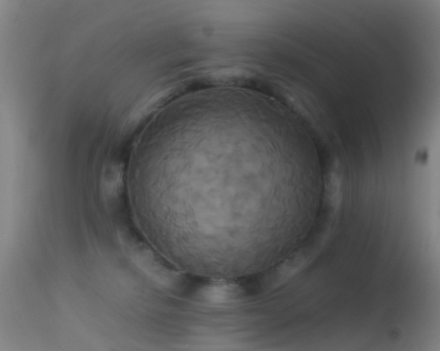 X0000113250278200909171633