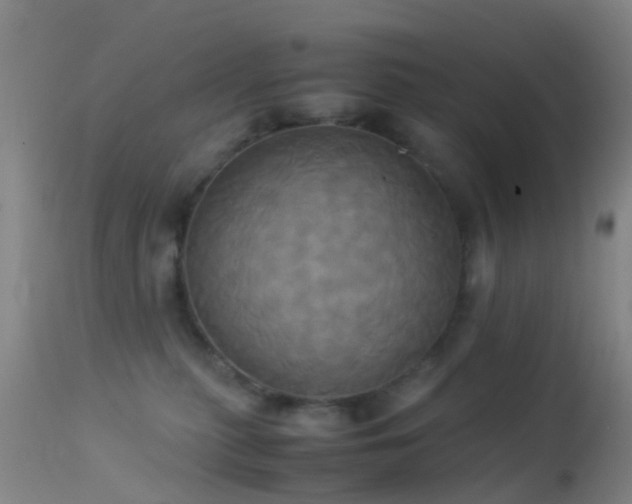 X0000113250279200909171633