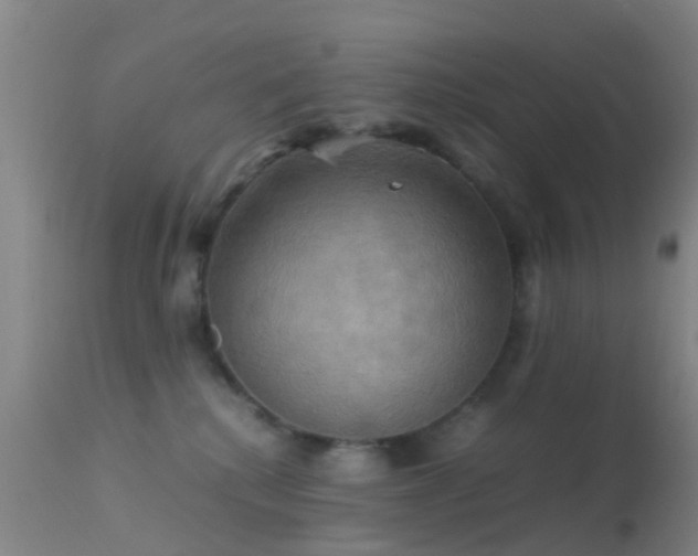 X0000113250280200909171633