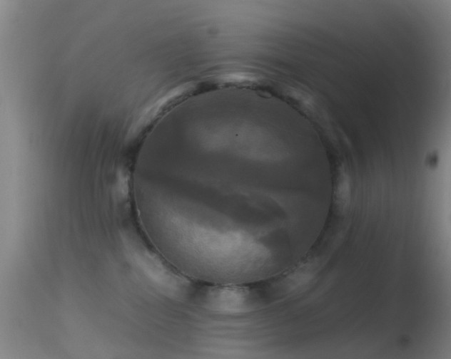 X0000113250282200909171633