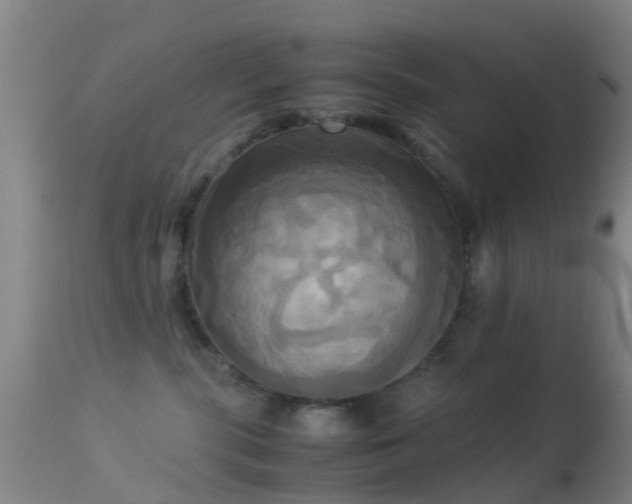 X0000113250283200909171633