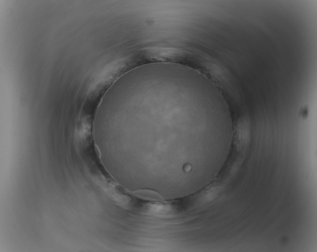 X0000113250284200909171633