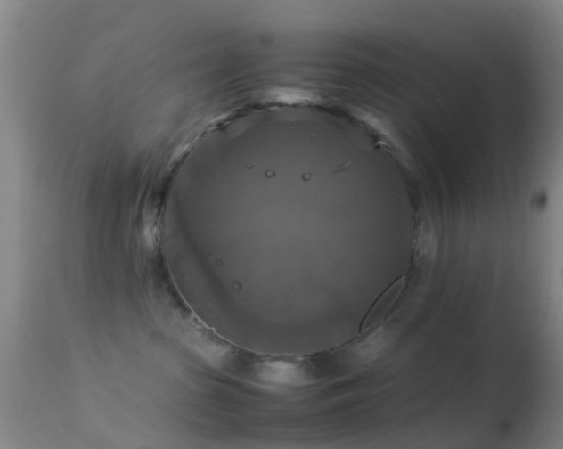 X0000113250285200909171633