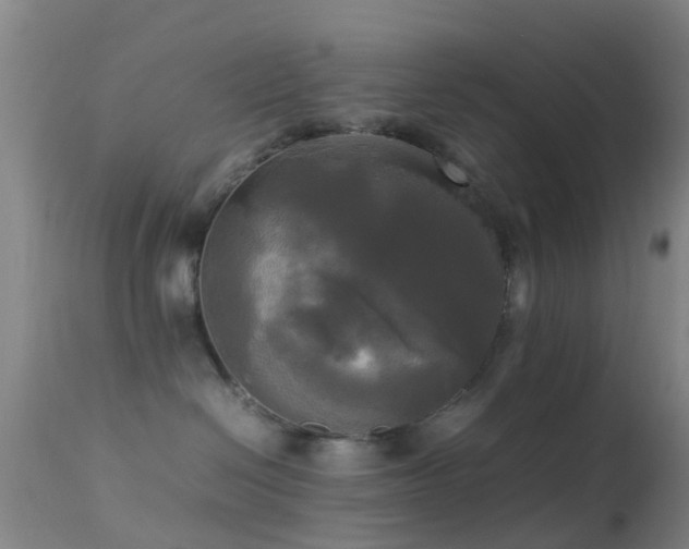 X0000113250286200909171633