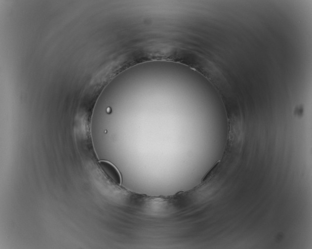 X0000113250287200909171633