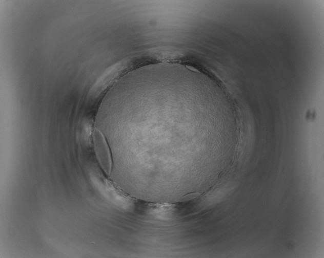 X0000113250288200909171633