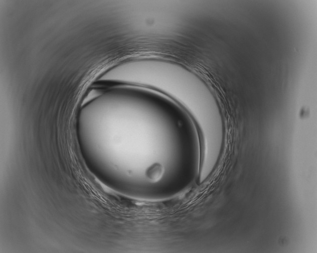 X0000113250289200909171632