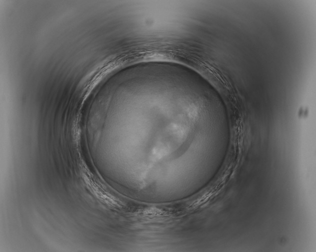 X0000113250290200909171632