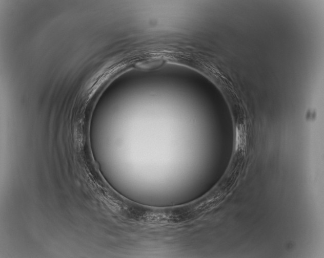 X0000113250291200909171632