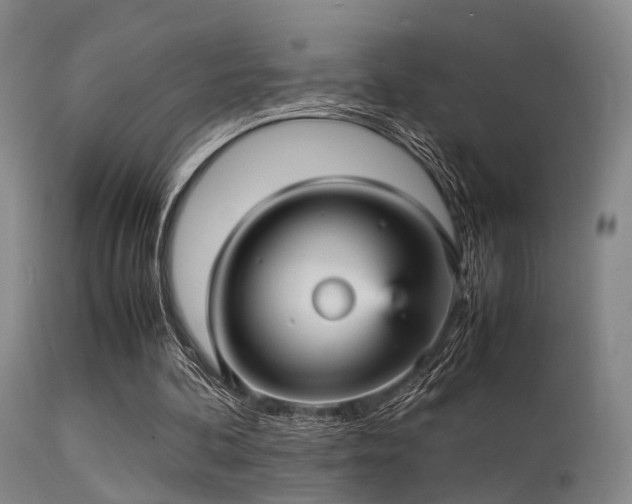 X0000113250292200909171632