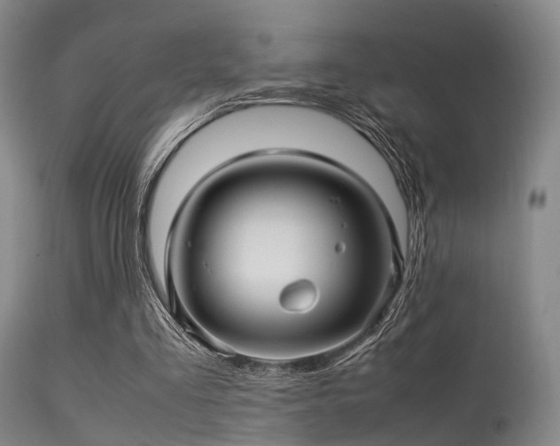 X0000113250293200909171632