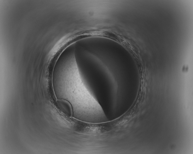 X0000113250295200909171632