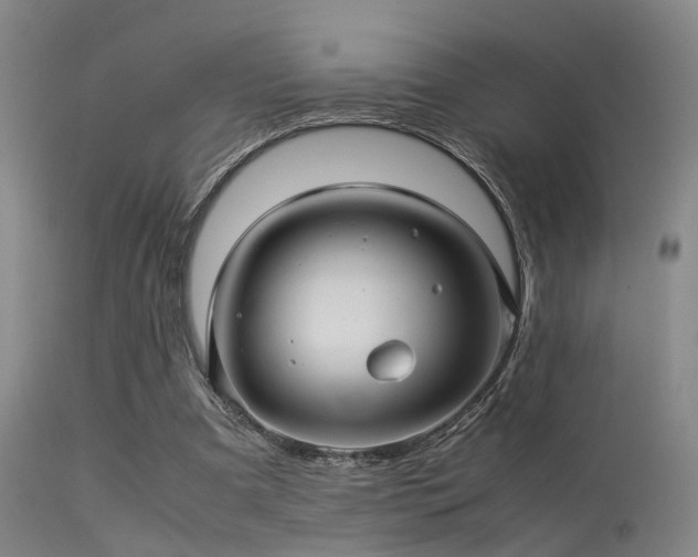 X0000113250297200909171632