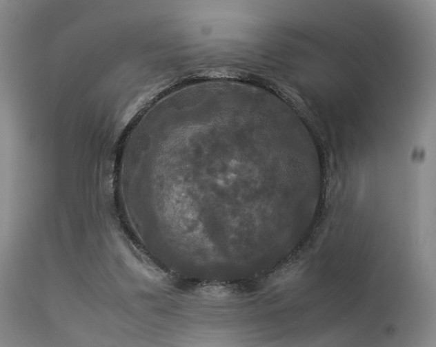 X0000113250299200909171632