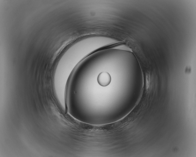 X0000113250300200909171632