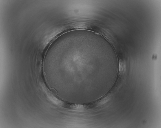 X0000113250301200909171632