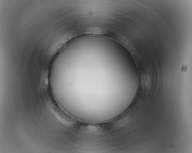 X0000113250302200909171632