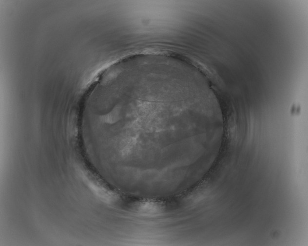 X0000113250303200909171632