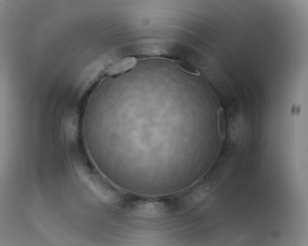 X0000113250304200909171632