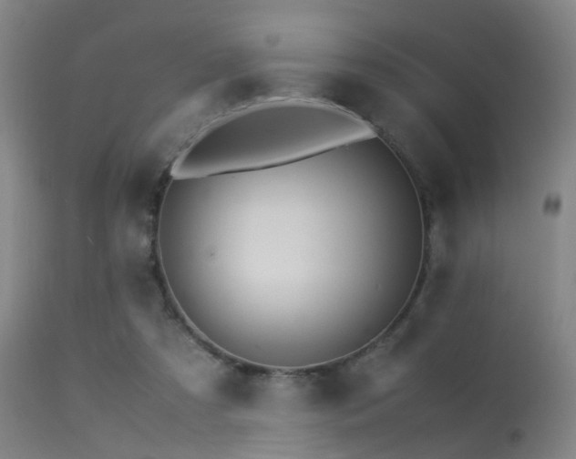 X0000113250305200909171632