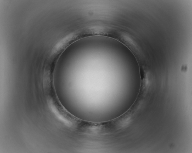 X0000113250306200909171632