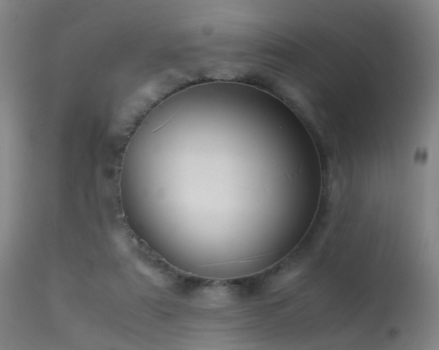 X0000113250307200909171632