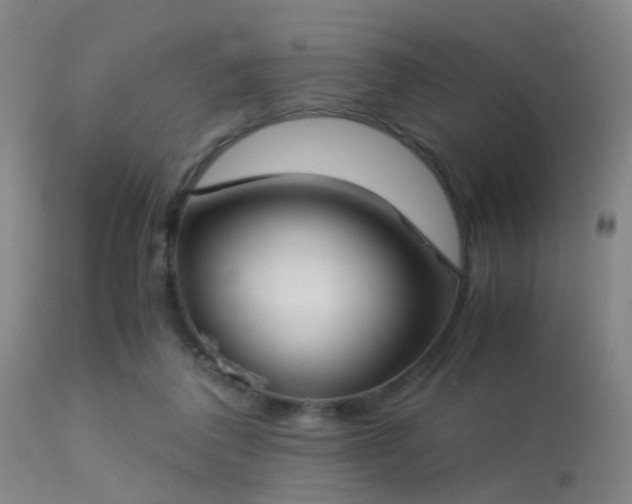 X0000113250308200909171632