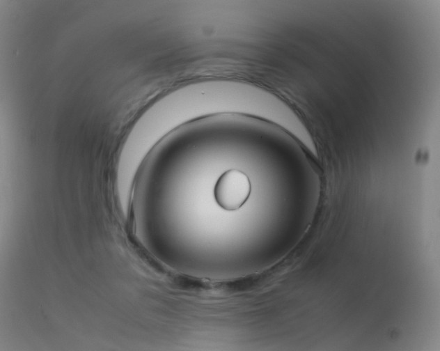 X0000113250309200909171632