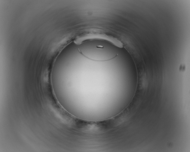 X0000113250310200909171632