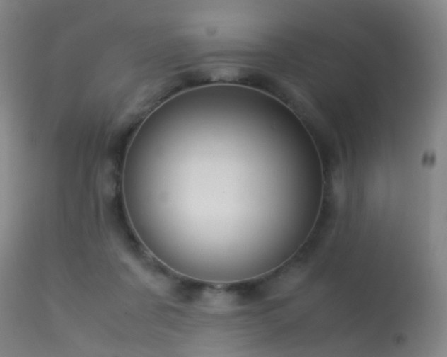 X0000113250311200909171632