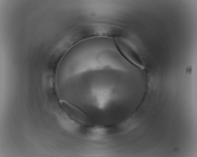 X0000113250313200909171632