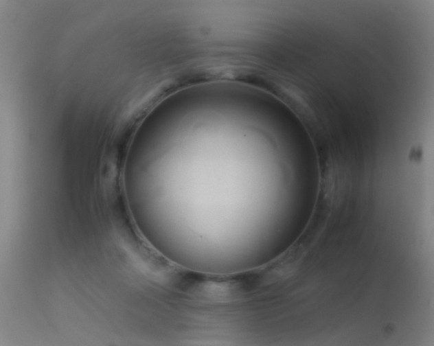 X0000113250314200909171632