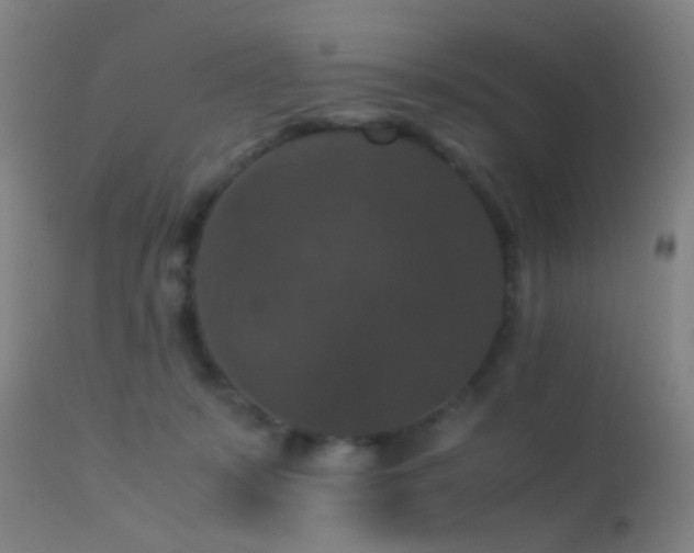 X0000113250319200909171632