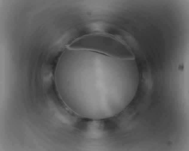 X0000113250320200909171632