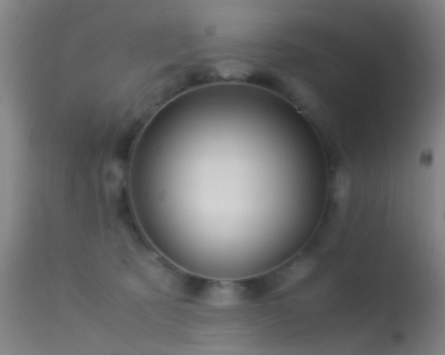 X0000113250321200909171632