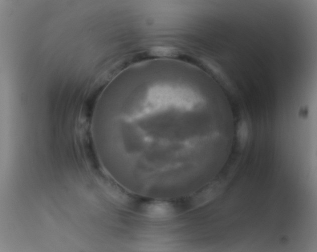 X0000113250322200909171632