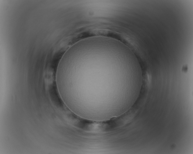 X0000113250323200909171632