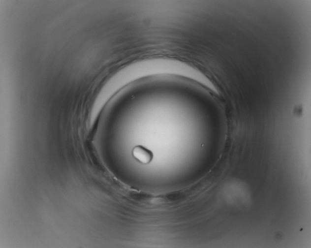 X0000113250324200909171632