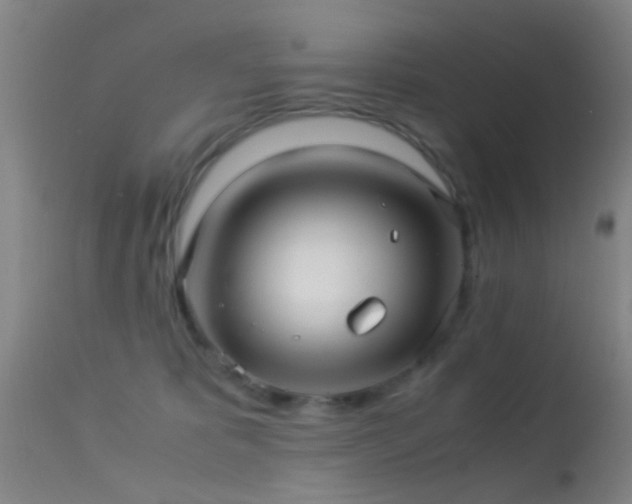 X0000113250325200909171632