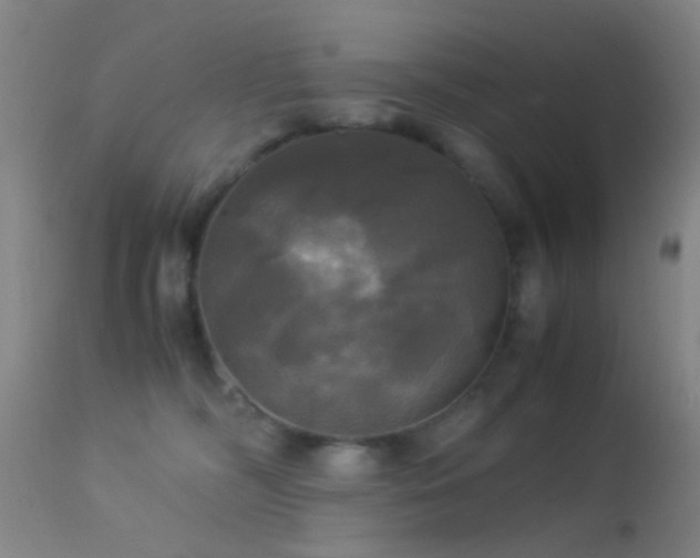 X0000113250326200909171632