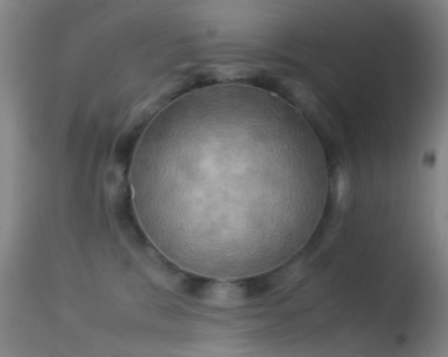 X0000113250327200909171632