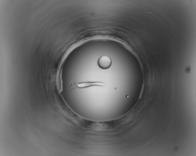 X0000113250328200909171632