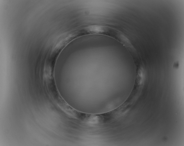 X0000113250330200909171631