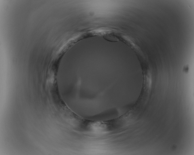 X0000113250331200909171631