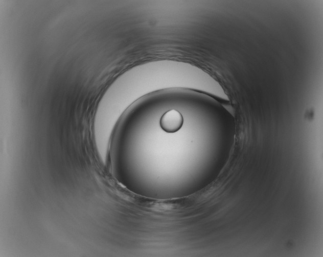 X0000113250332200909171631