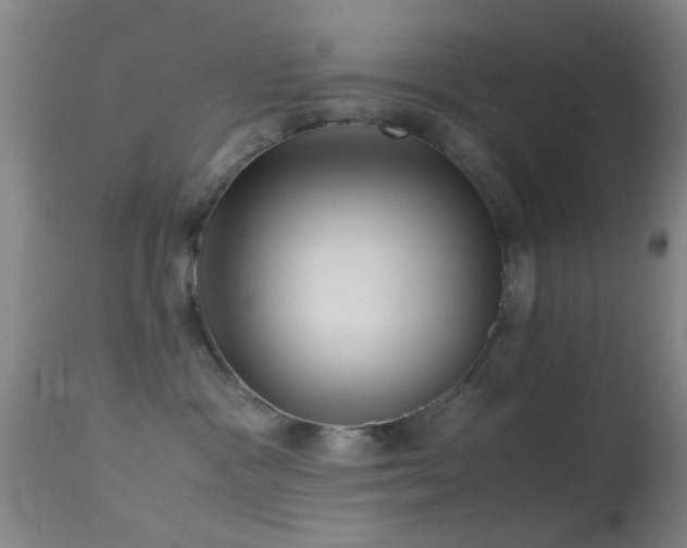 X0000113250333200909171631