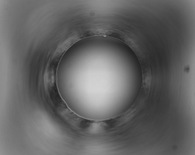 X0000113250334200909171631