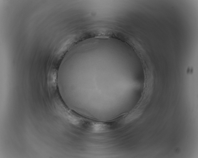 X0000113250336200909171631