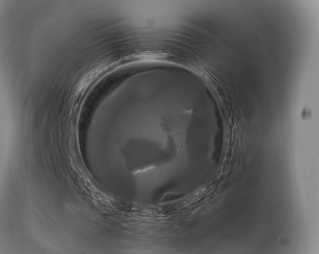 X0000113250337200909171631