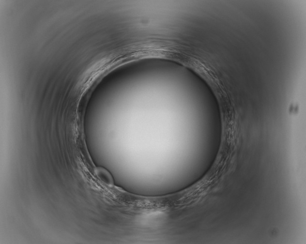 X0000113250338200909171631